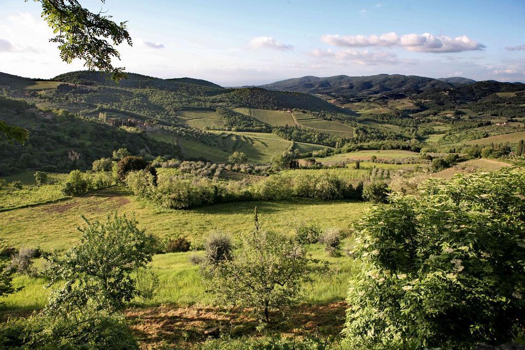 Residenza Antico Chianti Guest House Panzano in Chianti Luaran gambar